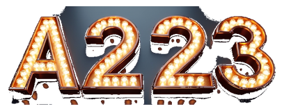 a 23 logo